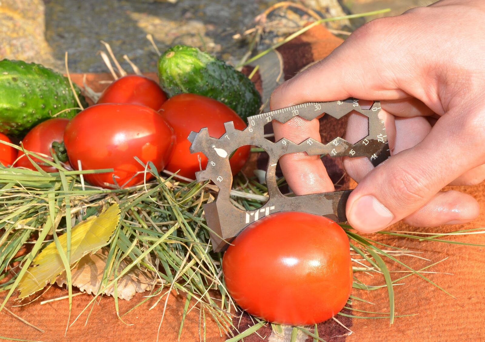 Knife edge test on tomatoes, 2015